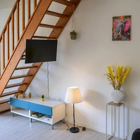 Le Jungle, Hyper Centre, Balcon Et Terrasse Апартаменты