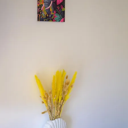 Le Jungle, Hyper Centre, Balcon Et Terrasse Апартаменты Тарб