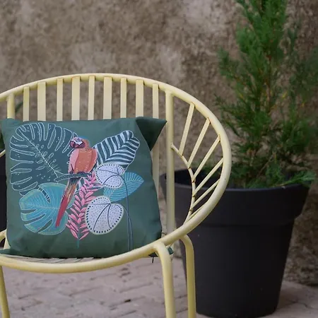 Апартаменты Le Jungle, Hyper Centre, Balcon Et Terrasse *