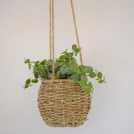 公寓 Le Jungle, Hyper Centre, Balcon Et Terrasse 塔布